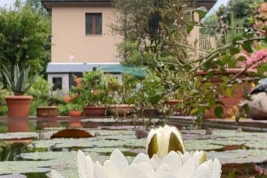 B&B Vegan La Mucca Felice - Grazioso Appartamento Nel Verde Rancio Valcuvia 외부 사진